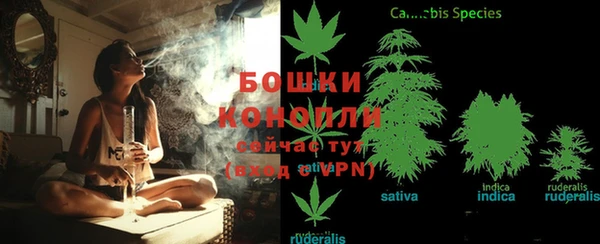ГАЛЛЮЦИНОГЕННЫЕ ГРИБЫ Балахна